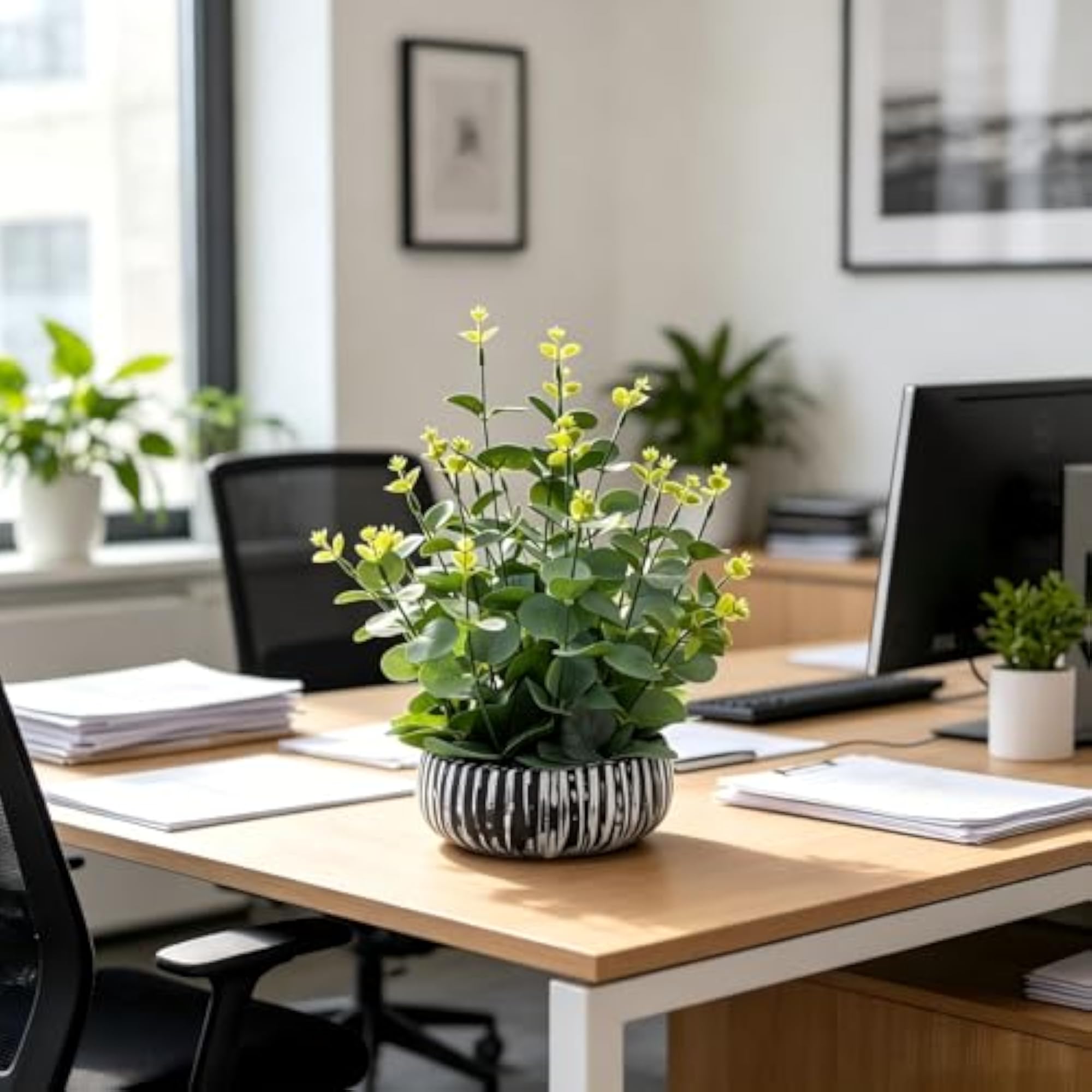 Potted Eucalyptus Plant for Kitchen and Office Decor